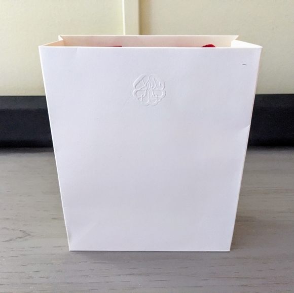 Alexander McQueen Accessory Box, Dust Bag, and Shopping Bag - Picture 9 of 9